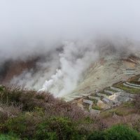 1泊2日 箱根湯本で温泉＆海賊船！ (ちょびっと小田原城)