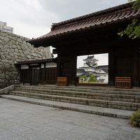 富山、石川呑んだくれ中年夫婦旅