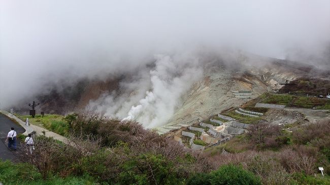 3歳の甥っ子連れて温泉へ行きました♪<br /><br />2日目はあいにくの天気になってしまいましたが大涌谷の新火口を見たり海賊船に乗り、甥っ子も楽しんでくれました。<br /><br />大人達はちょっと疲れたかな。(笑)<br /><br />↓ちょびっと小田原城はこちら↓<br />http://4travel.jp/travelogue/11161255