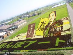 201608-07_田舎館村の田んぼアート Tanbo Art in Inakadate Village in Aomori