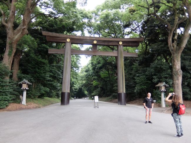 夏の旅行はもう北海道へ行ってしまったので、お盆休みは近場を散策。<br />地方はどこも混んでいると思い、明治神宮へ行ってみました。<br /><br />かなり昔に参道の砂利道を歩いたことはあったけれど、境内まで行くのは初めてで、都会のオアシスを満喫してきました。<br />参拝の後は、一度行ってみたかったビルズへ。<br />世界一といわれる朝食を食べてみました♪<br />食後再び神宮へ戻り、パワースポットと言われる清正井(<br />きよまさのいど）にも行ってきました！