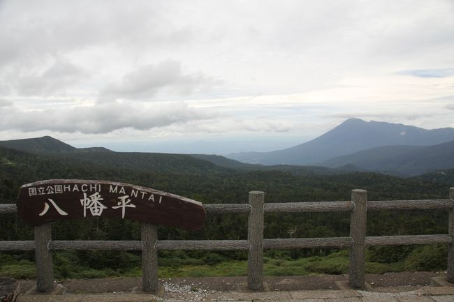 8/10<br />八幡平は深田久弥の「日本百名山」になっていますが、八幡平頂上パーキングまで車で行けば、あとは緩い坂道を30分ほど歩けば頂上に到着！というお手軽百名山です。<br />雨は降らなかったのですが、曇りだったのがおとといの八甲田同様に残念でした。晴れていれば、八幡沼とかがもっときれいに見えたのでしょう…。(涙）<br /><br />八幡平からこの日の宿泊先の花巻の山の神温泉『優香苑』に110?ほどドライブ（毎日移動距離が長い！）<br /><br /><br />===2016年8月東北旅行の概要===<br /><br />8/5 自宅→秋田<br />秋田竿燈祭り（移動距離約600キロ／秋田泊）<br /><br />8/6 秋田→弘前<br />五能線沿いドライブ・十二湖、不老不死温泉、千畳敷、青森ねぶた祭り（移動距離約300キロ／弘前泊）<br /><br />8/7 弘前滞在<br />弘前ねぷた祭り、五所川原立佞武多の館、斜陽館、十三湖、五所川原立佞武多祭り（移動距離約150キロ／弘前泊）<br /><br />8/8 弘前→古牧温泉<br />田舎館村田んぼアート、八甲田トレッキング、奥入瀬渓流トレッキング、十和田湖の乙女像、（移動距離約150キロ／古牧温泉泊）<br /><br />8/9 古牧温泉→乳頭温泉<br />八戸、久慈経由北山崎展望台、龍泉洞、宮古の浄土ヶ浜、（移動距離約400キロ／乳頭温泉泊）<br /><br />8/10 乳頭温泉→山の神温泉<br />角館、田沢湖のタツコ像、八幡平トレッキング、小岩井農場（移動距離約300キロ／山の神温泉泊）<br /><br /><br />8/11 山の神温泉→銀山温泉<br />大船渡・碁石海岸、陸前高田・奇跡の一本松、平泉中尊寺、毛越寺（移動距離約350キロ／銀山温泉泊）<br /><br />8/12 銀山温泉→自宅<br />銀山温泉散策、山寺立石寺、松島遊覧船、瑞厳寺→深夜に帰宅（移動距離約550キロ）<br />