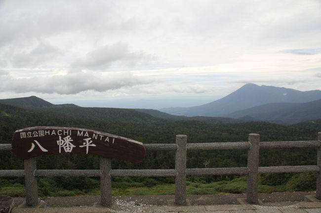 8/10<br />八幡平は深田久弥の「日本百名山」になっていますが、八幡平頂上パーキングまで車で行けば、あとは緩い坂道を30分ほど歩けば頂上に到着!というお手軽百名山です。<br />雨は降らなかったのですが、曇りだったのがおとといの八甲田同様に残念でした。晴れていれば、八幡沼とかがもっときれいに見えたのでしょう…。(涙)<br /><br />八幡平からこの日の宿泊先の花巻の山の神温泉『優香苑』に110?ほどドライブ(毎日移動距離が長い!)<br /><br /><br />===2016年8月東北旅行の概要===<br /><br />8/5 自宅→秋田<br />秋田竿燈祭り(移動距離約600キロ/秋田泊)<br /><br />8/6 秋田→弘前<br />五能線沿いドライブ・十二湖、不老不死温泉、千畳敷、青森ねぶた祭り(移動距離約300キロ/弘前泊)<br /><br />8/7 弘前滞在<br />弘前ねぷた祭り、五所川原立佞武多の館、斜陽館、十三湖、五所川原立佞武多祭り(移動距離約150キロ/弘前泊)<br /><br />8/8 弘前→古牧温泉<br />田舎館村田んぼアート、八甲田トレッキング、奥入瀬渓流トレッキング、十和田湖の乙女像、(移動距離約150キロ/古牧温泉泊)<br /><br />8/9 古牧温泉→乳頭温泉<br />八戸、久慈経由北山崎展望台、龍泉洞、宮古の浄土ヶ浜、(移動距離約400キロ/乳頭温泉泊)<br /><br />8/10 乳頭温泉→山の神温泉<br />角館、田沢湖のタツコ像、八幡平トレッキング、小岩井農場(移動距離約300キロ/山の神温泉泊)<br /><br /><br />8/11 山の神温泉→銀山温泉<br />大船渡・碁石海岸、陸前高田・奇跡の一本松、平泉中尊寺、毛越寺(移動距離約350キロ/銀山温泉泊)<br /><br />8/12 銀山温泉→自宅<br />銀山温泉散策、山寺立石寺、松島遊覧船、瑞厳寺→深夜に帰宅(移動距離約550キロ)<br />