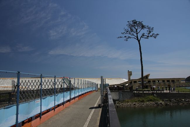8/11<br />山の神温泉『優香苑』の宮大工による純和風建築はどこを見ても素晴らしかったです。お料理もおいしかったのですが、露天風呂がアブの大量発生により入れなかったのがちょっと残念。<br />ここも冬に来たら雪見風呂に入れそうです。<br /><br />花巻・遠野で宮沢賢治の足跡をたどるのも興味があったのですが、東北の震災跡を見ていなかったので、今回の旅行ではそちらを優先して回ることにしました。<br />まずは大船渡の碁石海岸へ。碁石海岸は遊歩道が整備されていて、絵画イン沿いの高台を散策できるようになっています。<br />きれいな青い海を見ることができますが、この海から津波が発生して多くの方が命を落としたのかと思うと自然は美しくもあるが、また脅威でもあると思い知らされます。<br /><br />碁石海岸を跡にして、陸前高田の「奇跡の一本松」を見に行きました。<br />一本松のまわりには何もありません。ここに陸前高田の街があり、鉄道が通っていたのかと思うと胸が締めつけられます。<br />復興はまだまだ進んでいませんでした。5年経ったというのに…。<br />見たくない現実ではありますが、目をそむけてはいけない、忘れてはいけない場所だと痛感しました。<br /><br /><br /><br />===2016年8月東北旅行の概要===<br /><br />8/5 自宅→秋田<br />秋田竿燈祭り(移動距離約600キロ/秋田泊)<br /><br />8/6 秋田→弘前<br />五能線沿いドライブ・十二湖、不老不死温泉、千畳敷、青森ねぶた祭り(移動距離約300キロ/弘前泊)<br /><br />8/7 弘前滞在<br />弘前ねぷた祭り、五所川原立佞武多の館、斜陽館、十三湖、五所川原立佞武多祭り(移動距離約150キロ/弘前泊)<br /><br />8/8 弘前→古牧温泉<br />田舎館村田んぼアート、八甲田トレッキング、奥入瀬渓流トレッキング、十和田湖の乙女像、(移動距離約150キロ/古牧温泉泊)<br /><br />8/9 古牧温泉→乳頭温泉<br />八戸、久慈経由北山崎展望台、龍泉洞、宮古の浄土ヶ浜、(移動距離約400キロ/乳頭温泉泊)<br /><br />8/10 乳頭温泉→山の神温泉<br />角館、田沢湖のタツコ像、八幡平トレッキング、小岩井農場(移動距離約300キロ/山の神温泉泊)<br /><br /><br />8/11 山の神温泉→銀山温泉<br />大船渡・碁石海岸、陸前高田・奇跡の一本松、平泉中尊寺、毛越寺(移動距離約350キロ/銀山温泉泊)<br /><br />8/12 銀山温泉→自宅<br />銀山温泉散策、山寺立石寺、松島遊覧船、瑞厳寺→深夜に帰宅(移動距離約550キロ)<br />