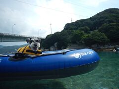 ワンコと一緒！高知旅3日目～柏島でシュノーケル