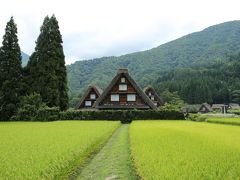 旅するイルカ♪　信州～北陸　4日間の旅へ　Day4　ホワイトロード、白川郷編