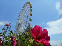 夏の長良川