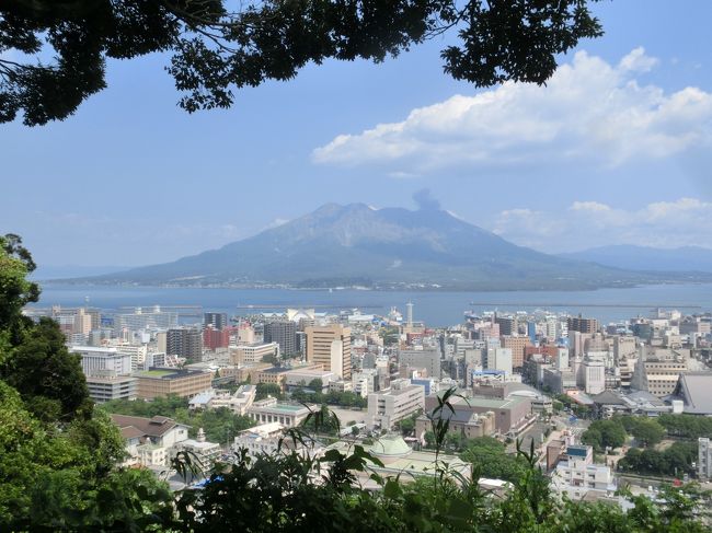 ちょうど1年前、初めて鹿児島へ行きましたが・・・<br />秋雨前線の影響で天気に恵まれず、<br />桜島を見ることはできませんでした。<br /><br />「桜島はどこ？鹿児島・知覧・指宿」<br />http://4travel.jp/travelogue/11049558<br /><br />あれから１年・・・<br />再び鹿児島へ行くことにしちゃいました。<br /><br />というのも「九州ふっこう割」で<br />お得に行くことができたからです。<br /><br />全日空ならＪＡＬより１８００円くらい安かったけど・・・<br /><br />ＡＮＡは荷物載せずに飛ぶし、<br />エンジンから火を噴いて部品バラまくし・・・<br /><br />今度は・・・・・((+_+))<br /><br />長生きしたいのでＪＡＬにしました。<br /><br />そんなこんなで出発当日。<br />なっなんと！台風９号が関東を直撃しそう・・・<br /><br />多くのフライトが欠航しています。<br />安さだけに魅かれて予約しかけた<br />ＡＮＡ６１９（６：４０）は欠航でした。<br /><br />良かったＪＡＬで・・・<br />ＪＡＬ６４１（６：２５）は定刻に飛んでくれました。<br /><br />こんなことわざがあります。<br />「安ＡＮＡ買いの銭失い」<br />「腐ってもＪＡＬ」 (^^)ゞ<br /><br />さて、ＪＡＬは鹿児島空港にはほぼ定刻で到着。<br />雲ひとつない青空が広がっています。<br /><br />１年前には姿を現してくれず<br />「桜島はどこ？」状態でしたが<br />今回はバッチリ、桜島を発見！<br />美しい雄姿を見ることができました。<br /><br />さらに美味しい料理も堪能でき<br />大満足の鹿児島リベンジの旅となりました。<br /><br /><br />■Itinerary■<br /><br />○８月２２日（月）<br />ＪＡＬ（ＪＬ）６４１　羽田（６：２５）→鹿児島（８：０５）<br /><br />　　　　　※宿泊先：ホテル法華クラブ鹿児島（１泊）<br /><br />○８月２３日（火）　　　　　　　　　　　　　　　　　　　　　<br />ＪＡＬ（ＪＬ）６４４　鹿児島（１０：４５）→羽田（１２：３０）<br />