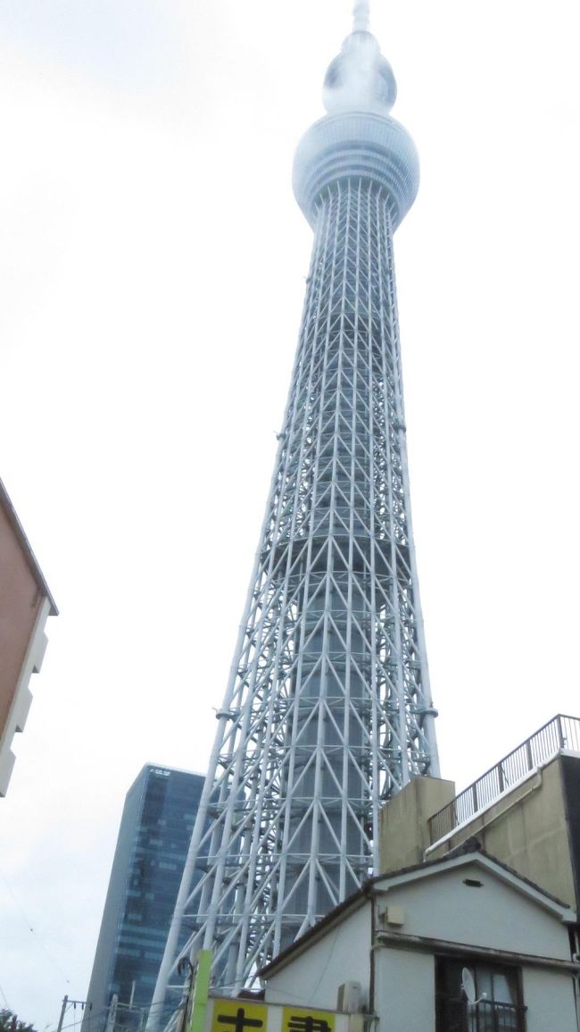 関東一周の旅・・・行きあたりばっ旅中！ 東京スカイツリー編！