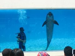 ’１６　沖縄旅行４　美ら海水族館②　館外施設（オキちゃん劇場など）～備瀬のフクギ並木