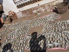 マダガスカル新婚旅行　ノシベを散歩