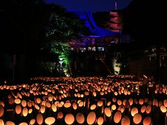 江ノ島 龍口寺～竹灯籠が創り出す幻想的な世界～