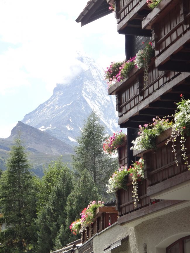 2016盛夏　初めてのスイス旅で私が出会った風景　②ツェルマットの花風景