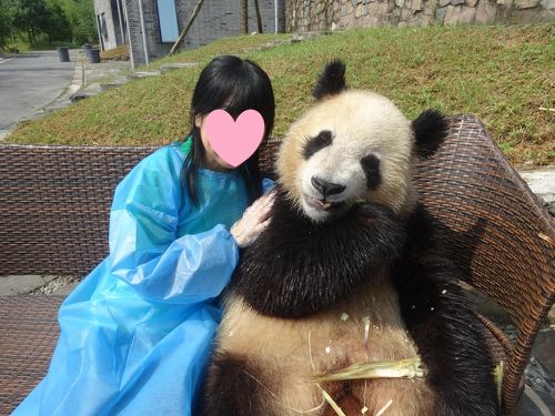 念願かなって、パンダと2ショット（パンダだっこ）』成都(中国