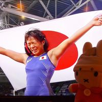 グーちゃん、ポーランドへ行く！（ワルシャワ/やった！日本は金！ポーランドは銅！編）