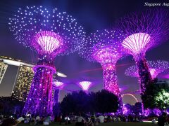 【シンガポール（シンガポール）】 マリーナベイエリアで観る幻想的な夜景！「ガーデン・ラプソディ」&「ワンダー・フル」