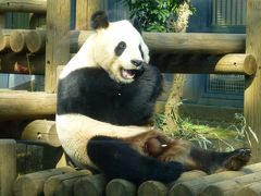 松本城と草津温泉そして上野動物園で初めてパンダとご対面