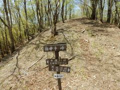 熊野古道小辺路伯母子峠越（二日目）