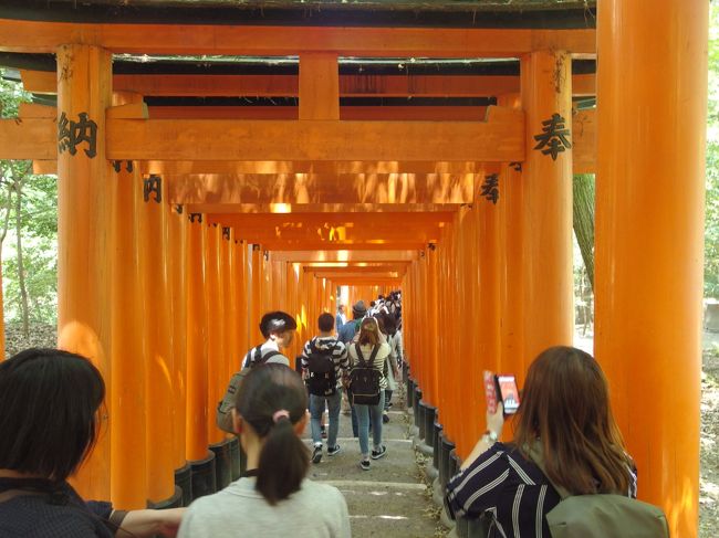 奈良がメインの旅行。新幹線で京都乗り換えで東京に向かうことから夕方まで1日京都観光。2010年に訪問できなかったところを尋ねました。奈良編はこちらです<br />http://4travel.jp/travelogue/11162766<br />