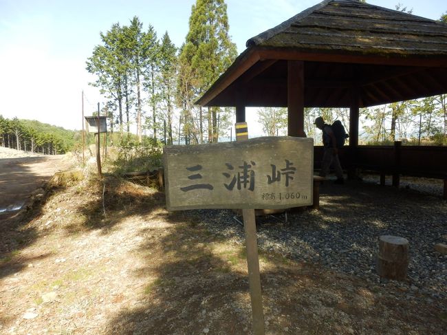 山歩き　奈良県　熊野古道小辺路三浦峠越（三日目）最高高さ約1080Ｍ（標高差680Ｍ）全工程6時間54分 （五百瀬バス停〜三浦峠〜西中バス停）<br /><br />「日時」2013年5月15日　晴れ<br />「アクセス」五百瀬バス停そばの民宿「政所」に宿泊<br />「参考案内書」奈良県十津川村発行のパンフッレト（熊野参詣道小辺路）<br />「コース概要」高校時代の仲間3人と歩く。西中バス停14；02発のバスに間に合うよう早めに出発。（5；58）（0；00）出発。つり橋を渡る。シャクナゲが咲いている。杉林の坂道を登る。三浦の集落があり、棚田が見える。（0;24）暑くなり上着をとる。休憩。（0;27）出発。石畳のあるところに来る。割りと急な登りを登る。杉の大木群が現れる。（0;48）吉村家旅籠跡に到着。休憩。（0;57）出発。急登が始まる。（1;39）水場（三十丁の水）に到着。休憩。（1;51）出発。杉林を急登する。途中より迂回路に入る。（2;23）古道と合流する。（2;34）崩れている難所通過。（2;35）急登終了。休憩。（2;37）出発。（2;43）三浦峠に到着。東屋があり、林道が横切っている。休憩。三日目のせいかバテ気味でコースタイムより時間を要した。（3;20）出発。西中バス停にむかう。緩やかなに下る。（3;42）古矢倉旅籠跡を通過。古い地蔵がある。急な下りがある。（4;03）出店（茶屋）跡に到着。休憩。（4;11）出発。多少の登りはあるが、下りが続く。（4;35）五輪ノ塔通過。（5;11）矢倉観音堂に到着。堂内には如意輪観音等三体の石仏が安置されている。昼食（宿のお弁当）をとる。（6;03）出発（6;10）難所通過。（6;22）三浦峠登山口を通過。バス道を下る。（6;30）右に山道が見えそれを下る。（6;37）自動車道に出、左に進む。すぐ先の右にある階段を下る。（6;50）再び自動車道に出て、左に行く。（12;52)（6;54）西中バス停に到着。バス待ち70分。バス所要34分で十津川温泉「平谷荘」に到着。　本日出会った花はタチツボスミレ、マムシグサ、キランソウ、ナガバノスミレサイシン、ヤマツツジ、マルバスミレ、キケマン、ギンリョウソウ、ニガナ、クサノウ、シャクナゲ、シャガ等である。三日目の疲れか、登りに時間を多く要した。道幅が狭く、片側が切れ落ちた崖という難所も本日のコースに3〜4箇所あった。三日目も無事完歩。