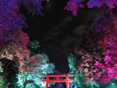 ★ 糺の森の光の祭 ★　世界遺産・下鴨神社　幻想的な光の饗宴