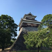 夏旅は２泊３日で九州へ。２日目・・桜島～熊本（加藤神社・熊本城）～博多