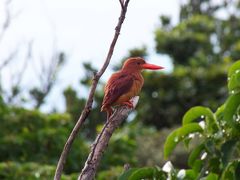 2016夏休み～石垣島6泊7日の旅（6日目）