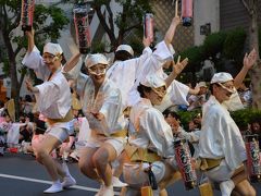 夏の終わりの風物詩　高円寺阿波踊り２０１６　　今年は連日雨の開催となりました。