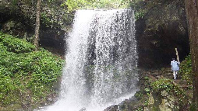 岩井滝は、岡山県最北端に近い三国山の山中にあり、付近は国有林の森に囲まれ、まさに深山幽谷。<br />この滝はその名のとおり、滝の裏側からも流れ落ちる滝を眺めることができるところから裏見の滝とも呼ばれ人気を集めています。<br />この地の標高は830ｍ、バスから降りるだけで、ひんやり。<br />エアコンがきいていたバスから出るともっとひんやり。