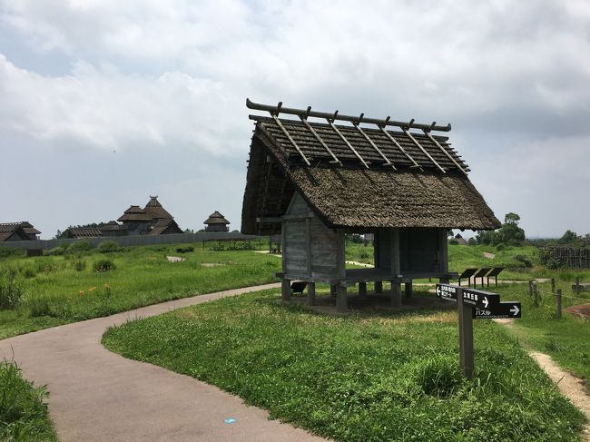 昨年までで大分マイレージが貯まったので、それを使って色々と今まで行った事の国内各地を訪れようと思い、ゴールデンウィーク明けに福岡便を確保、それに合わせて有休も取り、後は行くだけと思ったら、ちょうどその頃九州を豪雨が襲った・・・<br /><br />もしかしたら、キャンセルせんといかんかもと思い、日々天気予報を見て、状況を確認した所、どうやらピークは過ぎたようなので、せっかく取得できた3連休使って行って来ました福岡＆佐賀。<br />目的は今回も百名城巡り。ワンパターンですみません。<br />福岡２城、佐賀３城の計５城を訪問予定。<br /><br />最終日、飛行機の時間までに吉野ヶ里遺跡と佐賀城2つを巡ります。<br />まずは吉野ヶ里遺跡から。<br /><br />-------------------------------------------------------------------<br />6/23 羽田⇒福岡（ＪＬ333便）→福岡・天神　[福岡ガーデンパレス泊]<br />6/24 福岡・天神→西唐津→名護屋城→唐津→大濠公園→福岡城→大濠公園→福岡・中洲川端　　[デュークスホテル中州泊]<br />6/25 福岡・中洲川端→福岡・天神→大宰府（天満宮・正庁跡等）→紫→JR二日市→佐賀　[ホテルグランデはがくれ泊]<br />6/26 佐賀→吉野ヶ里遺跡