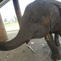 LAOS～のんびり女一人旅～　第二弾！！