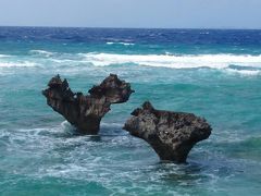 北へ南へ　沖縄縦断旅行