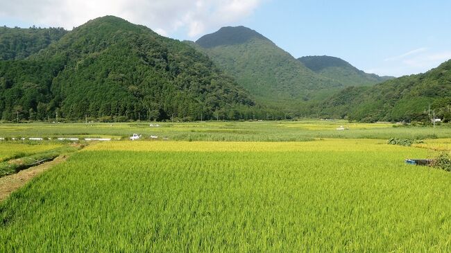 伊東市内を走る伊豆急、国道からの車窓は山ばかりで水田のある里山風景は見られませんが、池地区には、かつて一面が池であったそうです。<br /><br />地にトンネルを掘り水を抜いて開墾された水田の歴史を語る碑が設置されてありその歴史が伺えました。<br />平成天皇がこの地を訪れ里山風景を堪能され散策された地として碑も設置されてありました。<br /><br />この地は観光地ではないため４トラのどのエリアにも該当しませんが伊豆高原の駅が最寄りのため「伊豆高原」のエリアとしました。<br /><br />