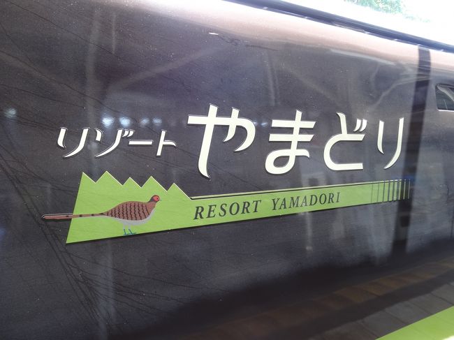 夏に群馬県の水上駅から新潟県の越後湯沢を走るリゾート列車「やまどり もぐら」に乗ってきました。<br />県境に長いトンネルがあるのですが、地下深いトンネル内に「土合（どあい）駅」があります。<br />電車を降りてから地上に出るまでに「486段」という大変長い階段を上っていく全国的にも珍しい「もぐら駅」です。<br />このリゾート列車は土合駅で約20分ほど停車してくれるので、地上まで階段を上るトンネル探検も楽しめます。<br />地上までの往復は思った以上に体力的にハードで、時間的にも大人の足で結構ギリギリでした（笑）