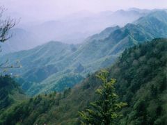  思い出の山旅ー9.新緑とミツバツツジ咲く両神山へ登る