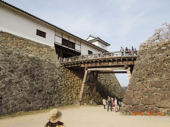 日本１００名城巡り　尾張・美濃・近江編　④小谷城　彦根城　