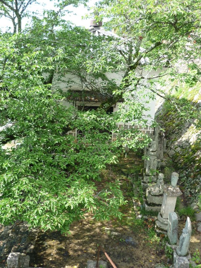 美術館を出て、頼久寺のお庭を堪能したあとは・・・<br />・紺屋川沿いに街並みを歩く<br />・商店街を歩く<br />・薬師院<br />・松連寺<br />・さらに、これらのお寺の奥にある道の高低差を楽しむ<br /><br />落ち着いたレトロさと、若々しい活力。そして私にとっては、行き当たりバッタリの楽しさを思い出すことができたステキな旅になりました