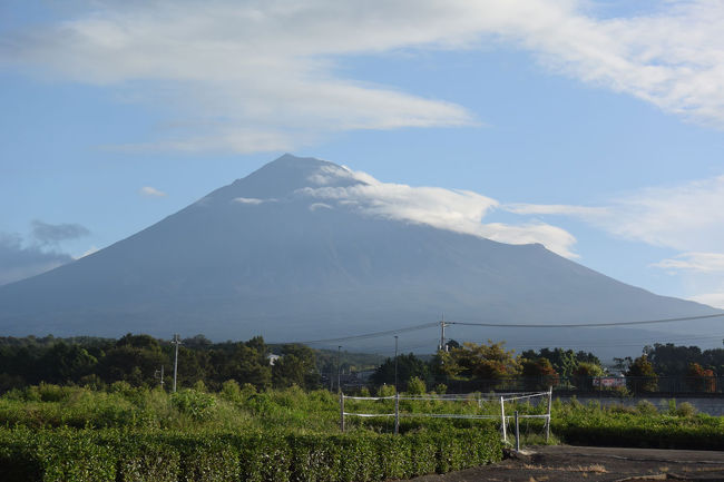 毎朝の散歩を変え、自転車で富士山を見ながら走って来ました。<br /><br />★富士市役所のHPです。<br />https://www.city.fuji.shizuoka.jp/index.htm