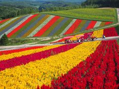 2016年9月 北海道の旅 ～ 六花山荘、美瑛「bible」、旭岳温泉「湧駒荘」、旭山動物園