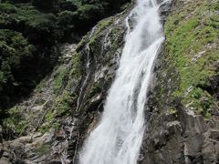 鹿児島3泊4日の旅①～屋久島一周編～