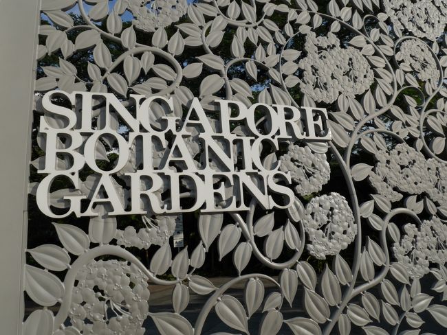 　2016年７月に、シンガポール旅行に行きました。約10年ぶりの訪問です。過去２回行ったことはあるのですが、当時はマリーナベイ・サンズやガーデンズ・バイ・ザ・ベイなどはなく、覚醒の感がありました。<br />　まずは昨年世界遺産に登録されたばかりのシンガポール植物園（ボタニックガーデン）を訪れました。なかでも６万株のランが見られる「ナショナル・オーキッド・ガーデン」は見事でした。その他、マー・ライオン、マリーナ・ベイ・サンズ、ガーデンズ・バイ・ザ・ベイ、シンガポール国立博物館などを観光しました。<br />　また、ラッフルズ・ホテルのロング・バーでは看板のカクテル、シンガポール・スリングを飲むとともに、瑞記のチキンライス、味香園のマンゴー・サーゴのほか、フライド・ホッケン・ミー、プロウン・ミー（エビ麺）などのローカルフードも楽しみました。<br />　短い間でしたが、観光、美食にカヤ・ジャムなどのお土産とシンガポールを満喫できました。<br /><br />　この日は、昨年、シンガポール初の世界遺産に登録されたシンガポール植物園（ボタニック・ガーデン）を訪問しました。オーチャードから５分程バスに乗って、タングリン・ゲートの近くのバス停で降りました。広大な面積を誇るボタニック・ガーデンは、人々の憩いの場所にもなっており、思い思いの時間を過ごしています。植物や花々が咲き誇る園内は、のんびりとくつろぐには絶好の場所かと思います。