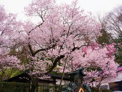 ２０１６年・御柱祭り下社　下諏訪町街歩き（３日目）　