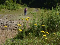 志賀湿原の池巡りウォーク、もう秋の気配!