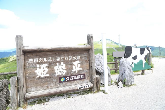 東予で泊まり、松山道を松山へ。松山から33号を南下。松山の道沿いで久しぶりに松山名物タルトを買う。33号沿いで道の駅「さんさん」で休憩。<br />近くの農家産の野菜を少し買う。<br />仁淀川の渓流に出会う。綺麗な水が流れていた。仁淀川を外れると、狭い山道をしばらく走る。急に視界が広がり、四国カルストに着く。<br />高度を稼いだので、すがすがしい気候。牛ものんびり草を食んでいた。<br />四国カルストは愛媛と高知の県境に広がっていた。