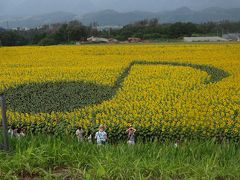 夏休み久し振りに孫たちと八ヶ岳高原に行って来ました。