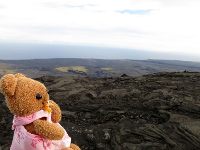 2016年5月12日-6月2日までハワイ、マウイ、カウアイ、オアフを姉とふたりで旅してきました。以下、ハワイ島での旅程で、このページでは「5月14日 溶岩と星のツアー参加」の様子をまとめました。<br /><br />5月12-13日　成田からハワイへ移動<br />5月14日　「溶岩と星のツアー」参加<br />5月15日　マウナ・ラニ・リゾート滞在<br />5月16日　マウナ・ラニ・リゾート滞在<br />5月17日　「カイルアコナ ツアー」参加<br />5月18日　ハワイ島からマウイ島へ移動<br /><br />尚、時折、登場するクマのぬいぐるみは私の手作りで、名前は「コニャニャ」。私と一緒に旅をするようになってから7年が経ちました。