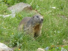 ５度目のスイス旅行　３日目　サンモリッツからグリンデルワルトへ