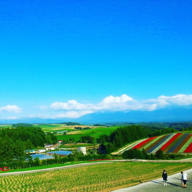 夏の終わり、秋の始まりな富良野・美瑛を楽しんできました。<br />秋の始まりと言いつつも日差しはまだまだ暑かったです。