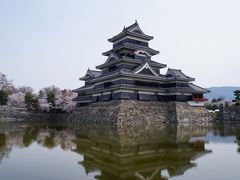 松本城の桜