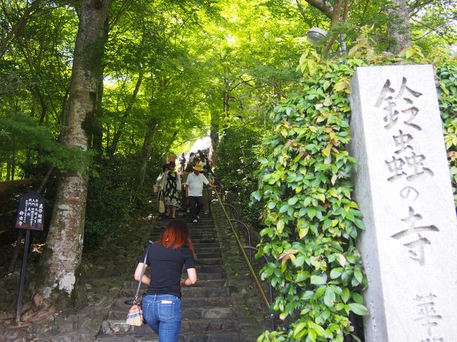 一昨年天橋立を訪れた時に、宿題となった海の京都伊根。<br />今回は伊根に宿泊することを第一の目標に企画した4泊5日の旅となりました。<br /><br />初日はノープランだったので急遽京都へ移動して鈴虫寺へ<br />2泊目は知人と合流して朝来の竹田城へ<br />3泊目は神鍋高原へ移動して植村直己冒険館<br />4泊目は念願の伊根へ<br /><br /><br />伊根では、釣りをしてそれを食料にお酒をいただこうという趣向でしたが、素泊まりの宿は予約できず、二食付きの与謝荘さんへ投宿。<br /><br />大阪IN<br />大阪OUTの一人旅(一部グループ旅)です。<br /><br />